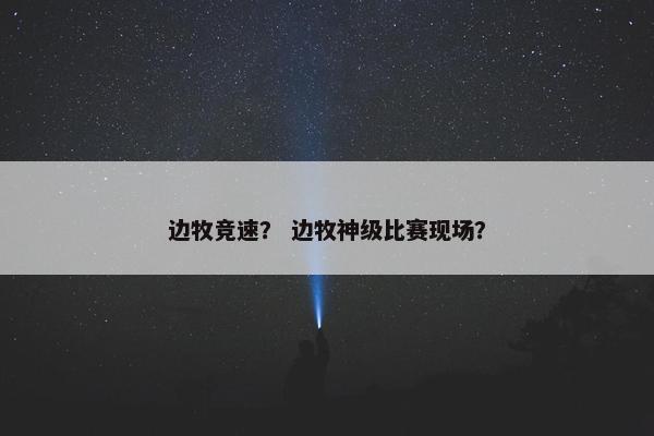 边牧竞速？ 边牧神级比赛现场？