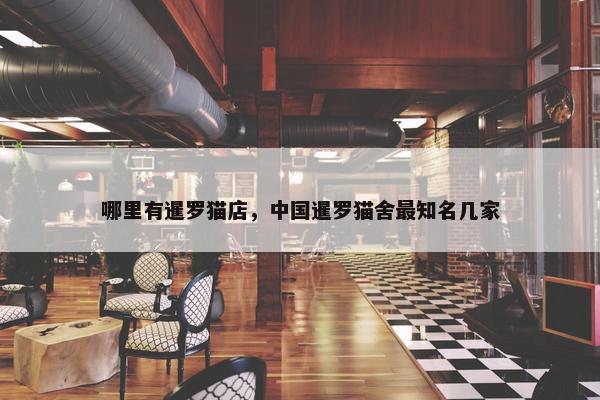 哪里有暹罗猫店，中国暹罗猫舍最知名几家