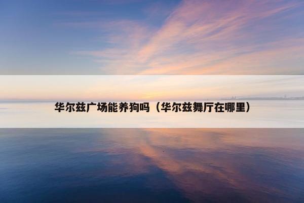 华尔兹广场能养狗吗（华尔兹舞厅在哪里）