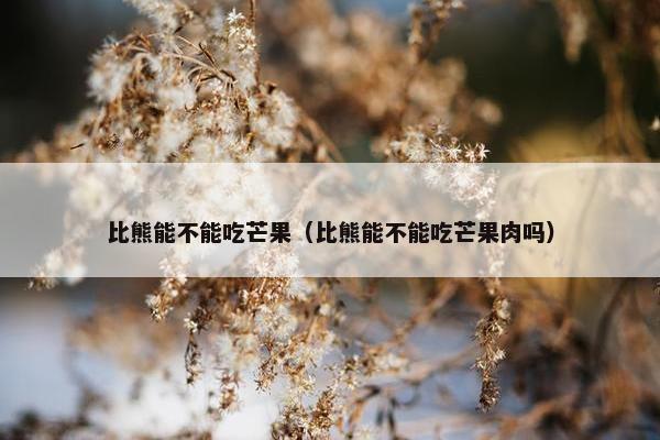 比熊能不能吃芒果（比熊能不能吃芒果肉吗）