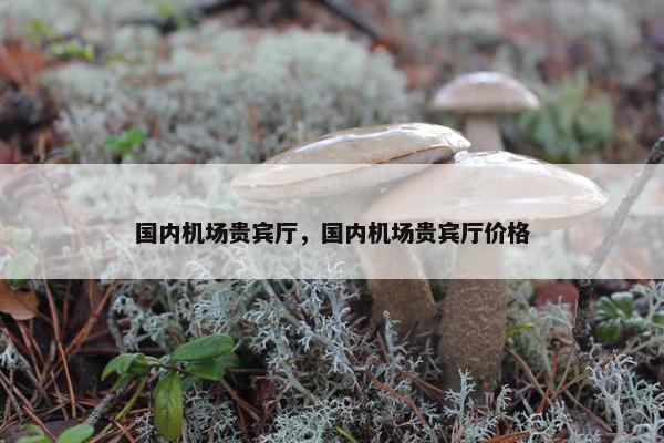 国内机场贵宾厅，国内机场贵宾厅价格