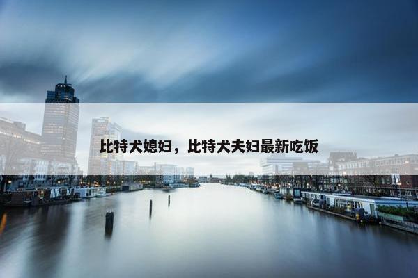 比特犬媳妇，比特犬夫妇最新吃饭