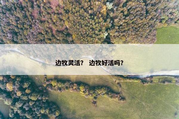 边牧灵活？ 边牧好活吗？