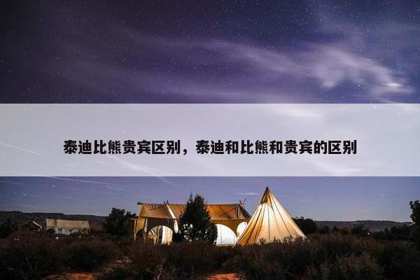 泰迪比熊贵宾区别，泰迪和比熊和贵宾的区别