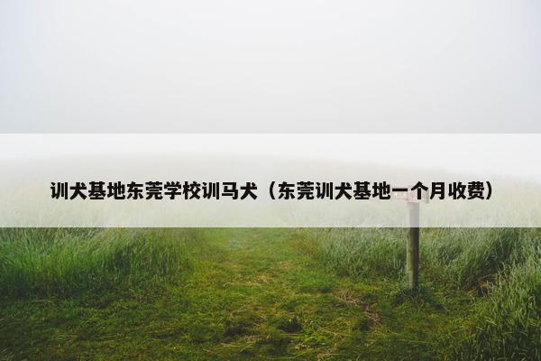 训犬基地东莞学校训马犬（东莞训犬基地一个月收费）