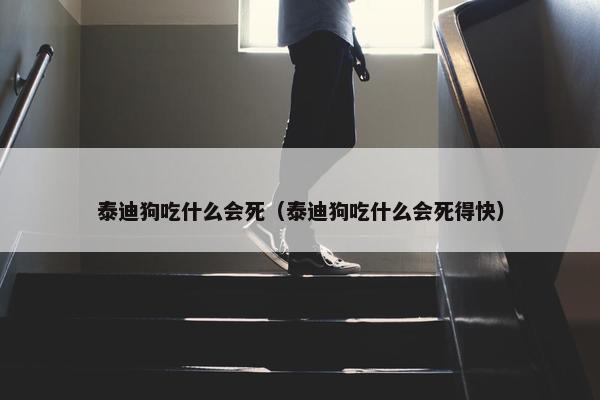 泰迪狗吃什么会死（泰迪狗吃什么会死得快）