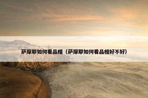 萨摩耶如何看品相（萨摩耶如何看品相好不好）
