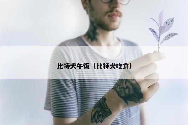 比特犬午饭（比特犬吃食）