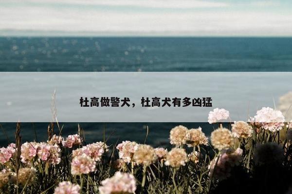 杜高做警犬，杜高犬有多凶猛