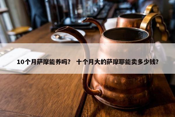 10个月萨摩能养吗？ 十个月大的萨摩耶能卖多少钱？