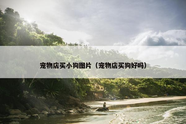 宠物店买小狗图片（宠物店买狗好吗）