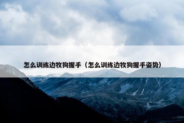 怎么训练边牧狗握手（怎么训练边牧狗握手姿势）