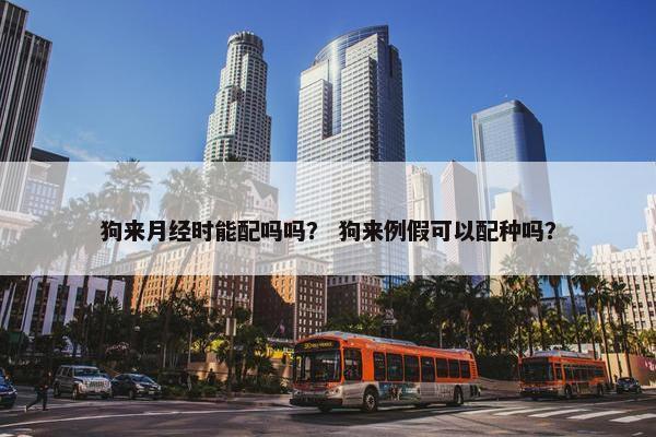 狗来月经时能配吗吗？ 狗来例假可以配种吗？