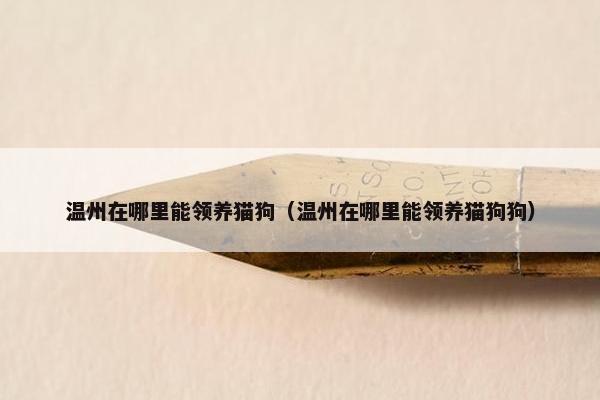 温州在哪里能领养猫狗（温州在哪里能领养猫狗狗）
