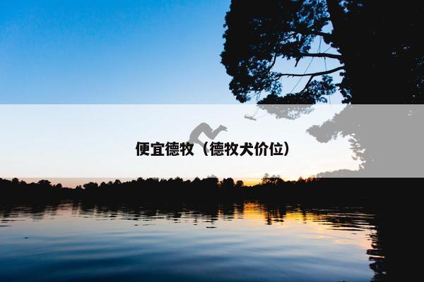 便宜德牧（德牧犬价位）