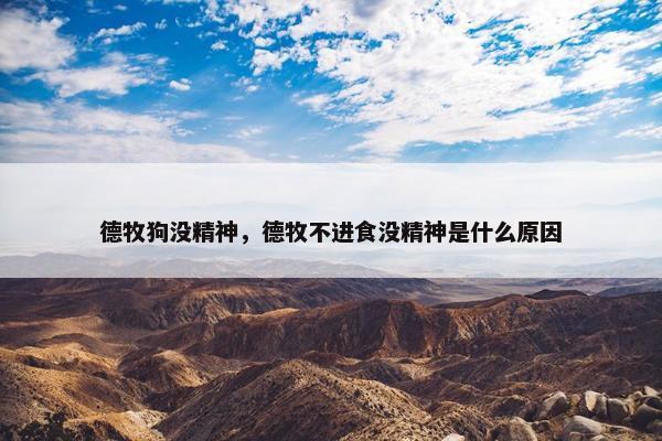 德牧狗没精神，德牧不进食没精神是什么原因