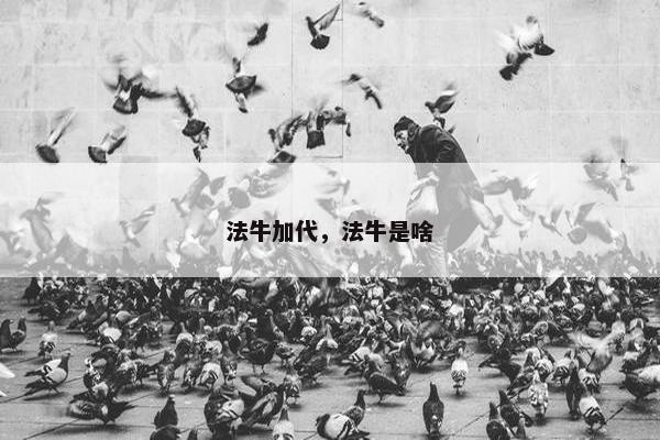 法牛加代，法牛是啥