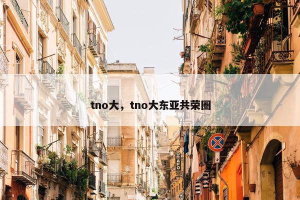 tno大，tno大东亚共荣圈