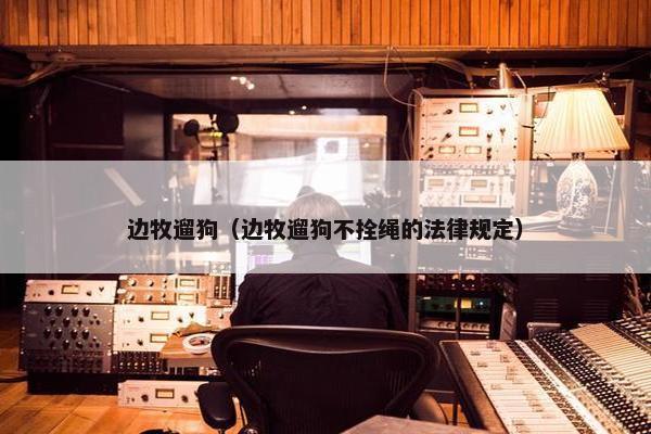 边牧遛狗（边牧遛狗不拴绳的法律规定）