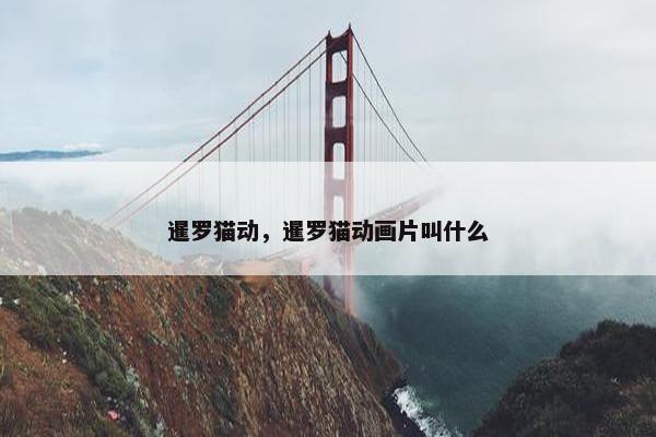 暹罗猫动，暹罗猫动画片叫什么