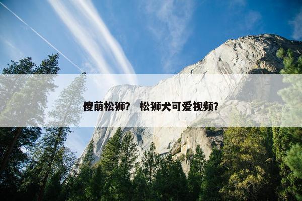 傻萌松狮？ 松狮犬可爱视频？