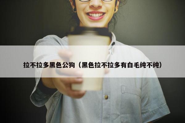 拉不拉多黑色公狗（黑色拉不拉多有白毛纯不纯）