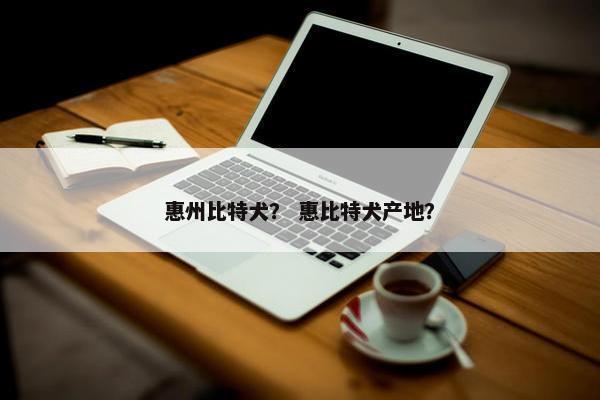 惠州比特犬？ 惠比特犬产地？