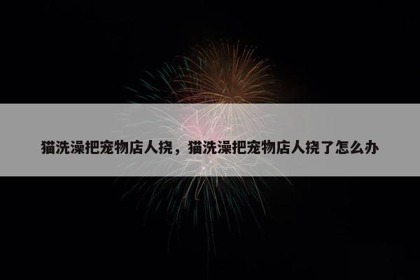 猫洗澡把宠物店人挠，猫洗澡把宠物店人挠了怎么办