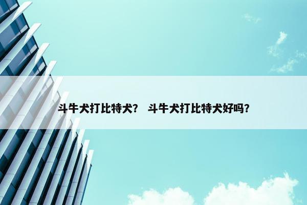 斗牛犬打比特犬？ 斗牛犬打比特犬好吗？