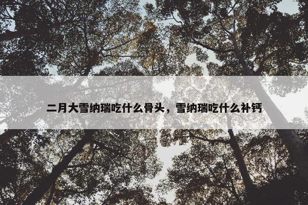 二月大雪纳瑞吃什么骨头，雪纳瑞吃什么补钙