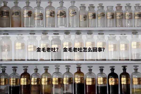 金毛老吐？ 金毛老吐怎么回事？