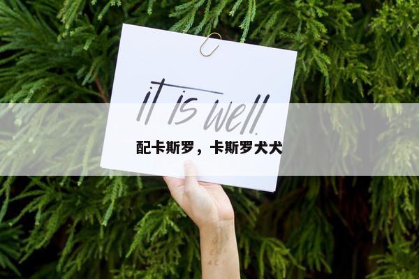 配卡斯罗，卡斯罗犬犬
