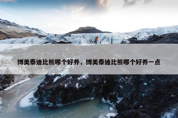 博美泰迪比熊哪个好养，博美泰迪比熊哪个好养一点