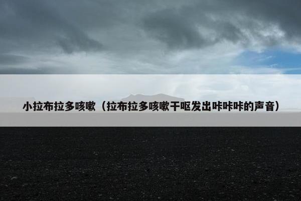 小拉布拉多咳嗽（拉布拉多咳嗽干呕发出咔咔咔的声音）