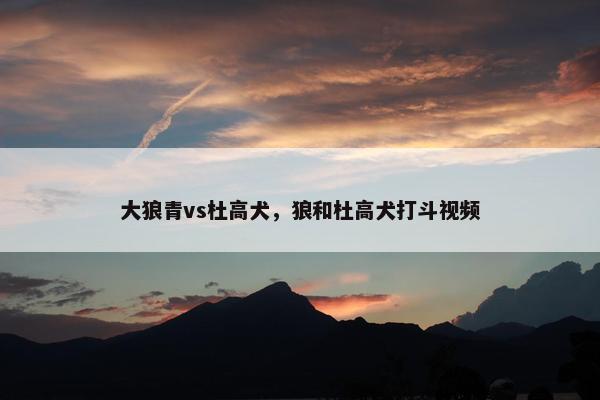 大狼青vs杜高犬，狼和杜高犬打斗视频
