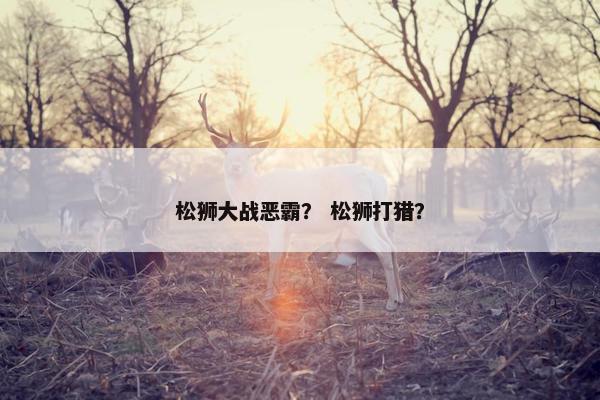 松狮大战恶霸？ 松狮打猎？