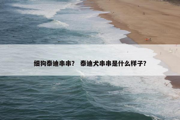 细狗泰迪串串？ 泰迪犬串串是什么样子？