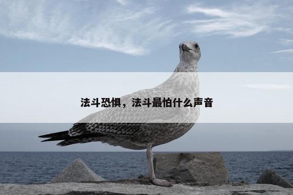 法斗恐惧，法斗最怕什么声音