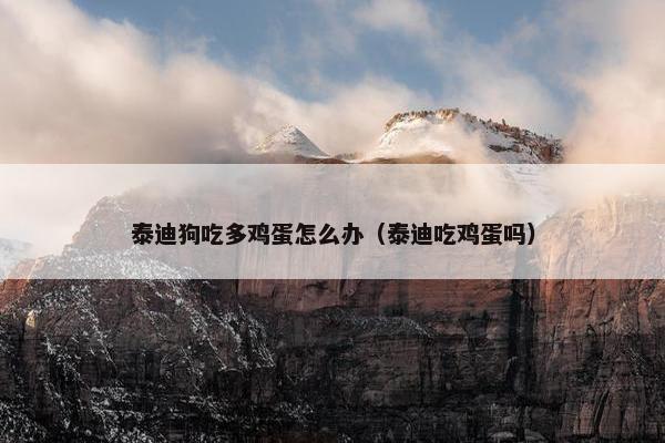 泰迪狗吃多鸡蛋怎么办（泰迪吃鸡蛋吗）