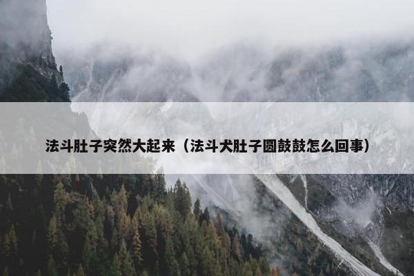 法斗肚子突然大起来（法斗犬肚子圆鼓鼓怎么回事）