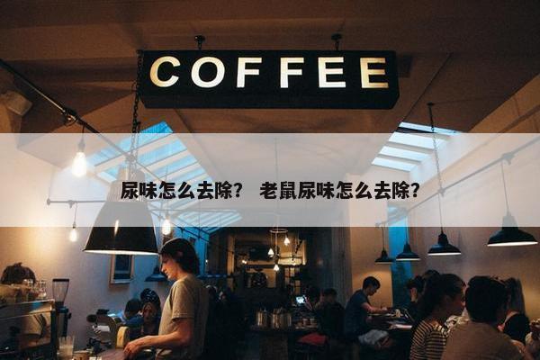 尿味怎么去除？ 老鼠尿味怎么去除？