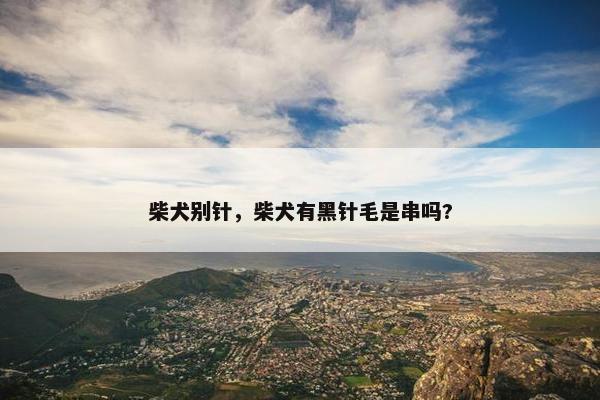 柴犬别针，柴犬有黑针毛是串吗?