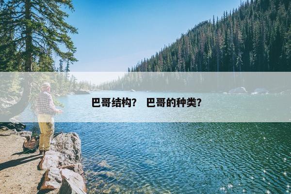 巴哥结构？ 巴哥的种类？