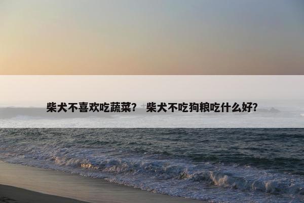 柴犬不喜欢吃蔬菜？ 柴犬不吃狗粮吃什么好？