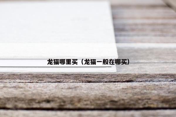 龙猫哪里买（龙猫一般在哪买）