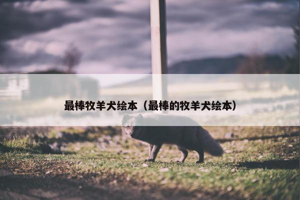 最棒牧羊犬绘本（最棒的牧羊犬绘本）