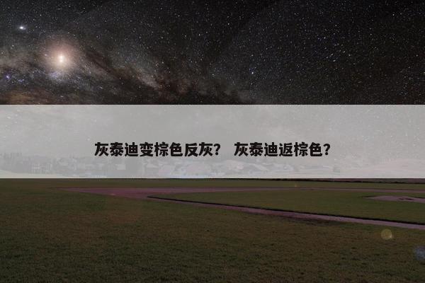 灰泰迪变棕色反灰？ 灰泰迪返棕色？