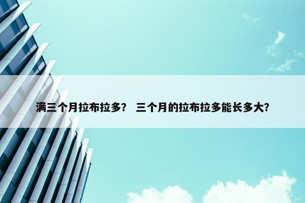 满三个月拉布拉多？ 三个月的拉布拉多能长多大？