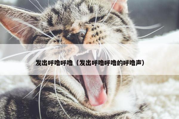发出呼噜呼噜（发出呼噜呼噜的呼噜声）