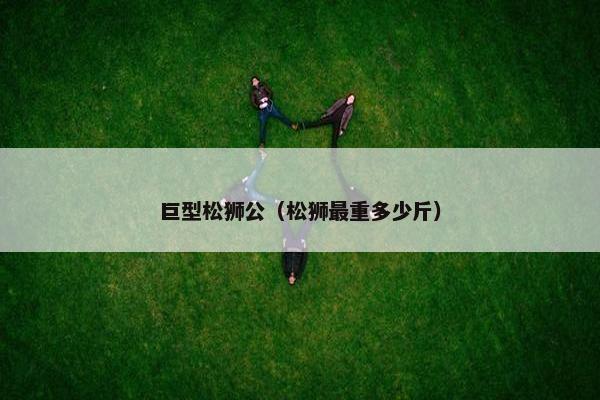 巨型松狮公（松狮最重多少斤）